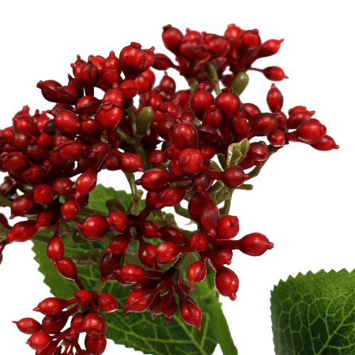 Floristik24 Branche de baies rouges, baies de viorne 54 cm 4 p.