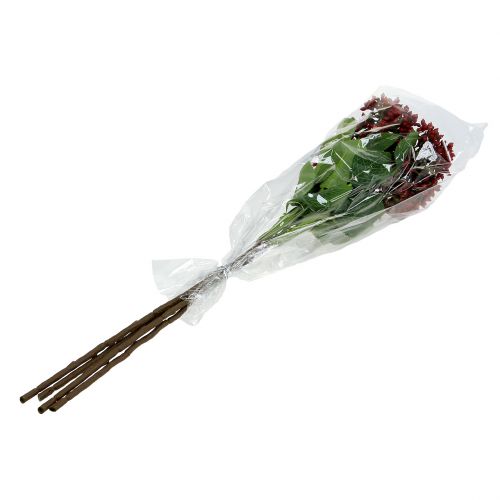 Floristik24 Branche de baies rouges, baies de viorne 54 cm 4 p.