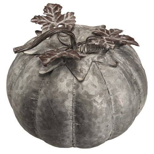 Floristik24 Décoration d'automne citrouille décorative vintage en zinc en métal Ø21cm H20cm