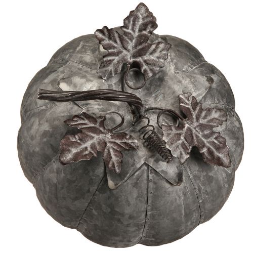 Floristik24 Décoration d'automne citrouille décorative vintage en zinc en métal Ø21cm H20cm