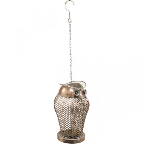 Floristik24 Lanterne Vintage Hibou Lanterne de Jardin Photophore Doré H29cm