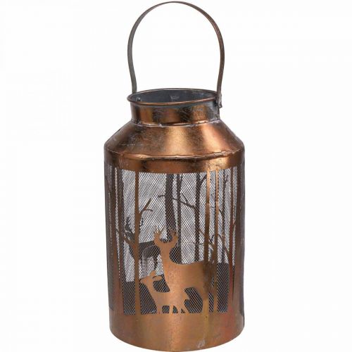 Floristik24 Lanterne vintage cerf forêt lanterne de jardin Ø19cm H33cm