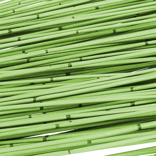 Floristik24 Vlei Roseau 400g vert clair