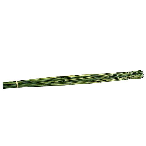 Floristik24 Tiges Vlei Reed 400 g vert foncé