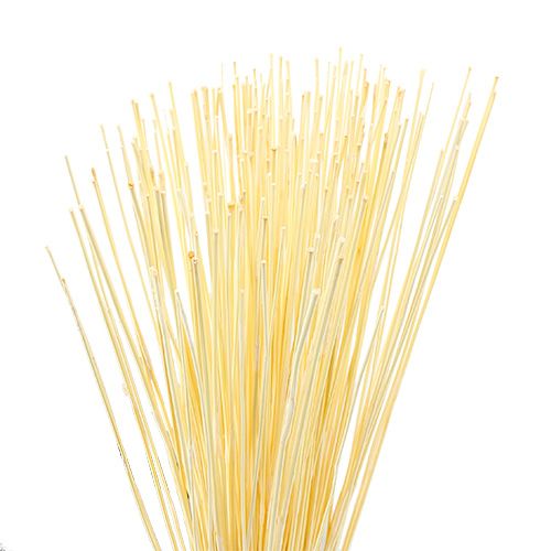 Floristik24 Vlei Reed 400g blanchi