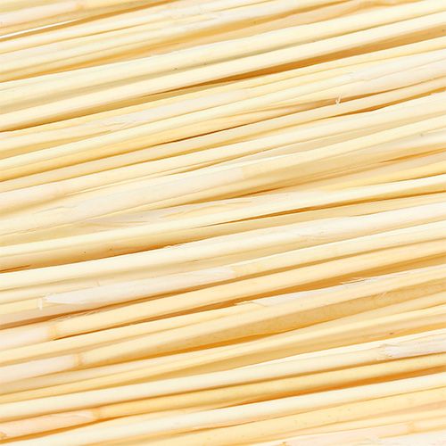 Floristik24 Vlei Reed 400g blanchi