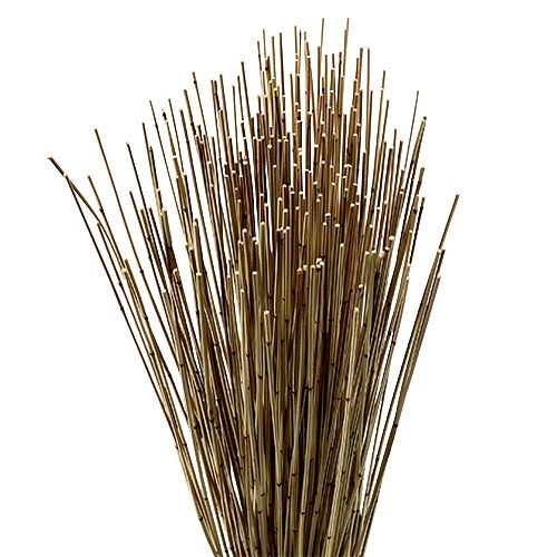 Floristik24 Vlei Reed 400g naturel