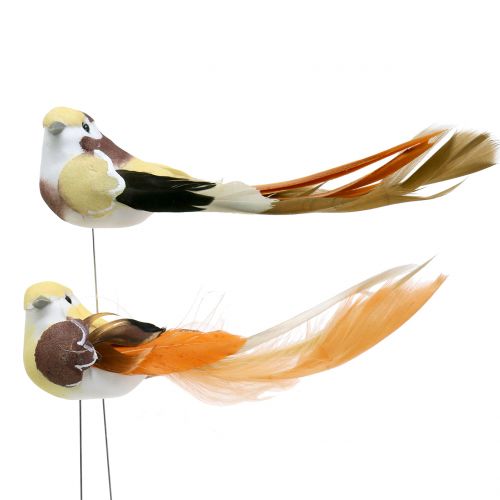 Floristik24 Oiseaux sur fil de fer brun/orange 14 cm 12 p.