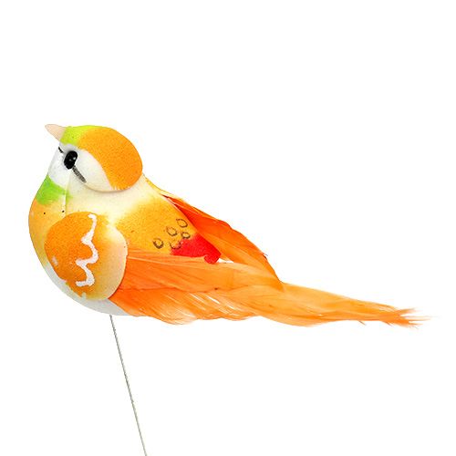 Floristik24 Oiseau 8cm multicolore 12P