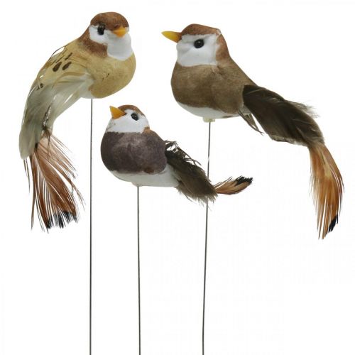 Floristik24 Déco printanière, mini oiseaux, oiseaux déco sur fil marron, beige H2,5cm 24pcs