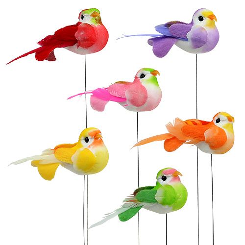 Floristik24 Oiseau sur fil multicolore assort. 7cm 12P