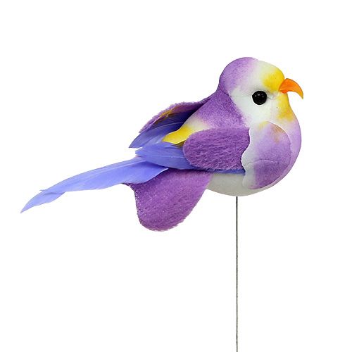 Floristik24 Oiseau sur fil multicolore assort. 7cm 12P