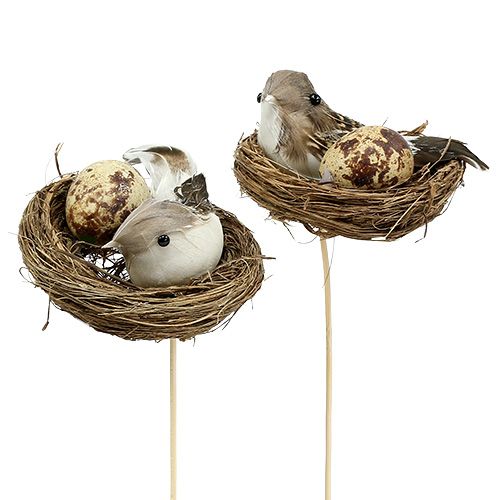 Floristik24 Nid d&#39;oiseau sur bâton Ø7cm L24cm 6pcs