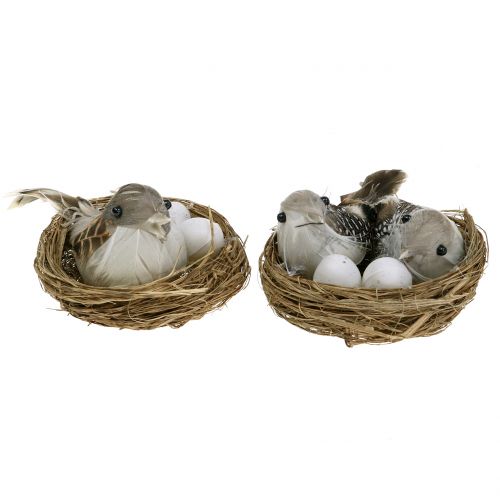 Floristik24 Nid d&#39;oiseau avec oeufs et oiseau 6pcs