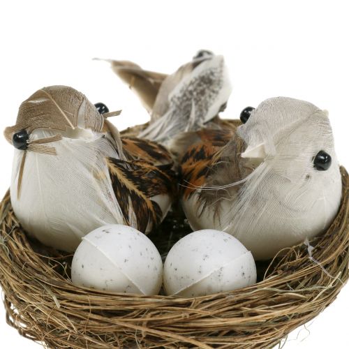 Floristik24 Nid d'oiseau avec oeufs et oiseau 6pcs