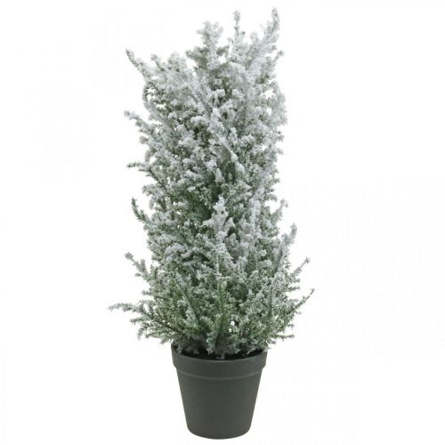 Floristik24 Genévrier artificiel en pot plante artificielle enneigée H47cm