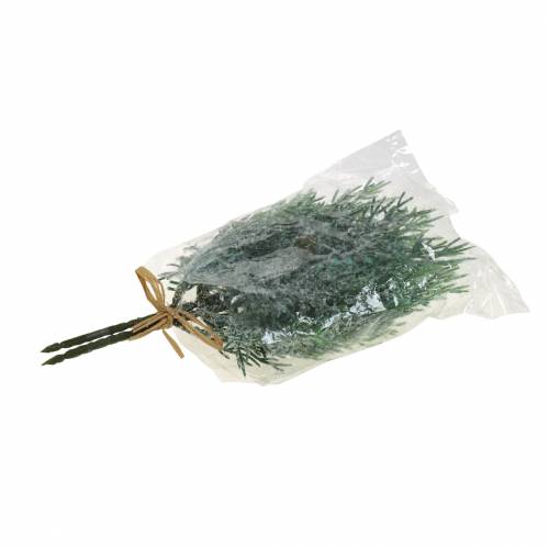 Floristik24 Branche de genévrier décorative avec cônes vert glacé, bleu lavé 25cm 2 pcs.