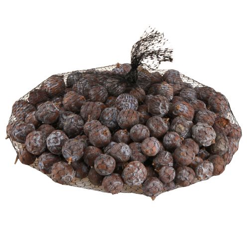 Floristik24 Cônes de genévrier Genévrier syrien naturel Ø1,5–2,5cm 1kg