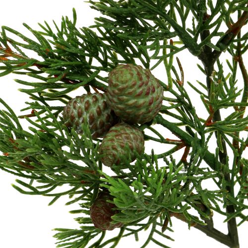 Branche de genévrier avec des cônes verts 39cm 3pcs
