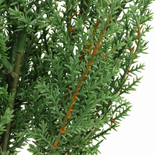 Floristik24 Branche de genévrier branche décorative verte artificielle Noël 39cm 6pcs