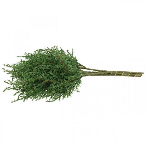 Floristik24 Branche de genévrier branche décorative verte artificielle Noël 39cm 6pcs
