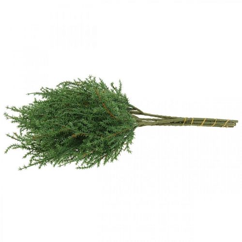 Branche de genévrier branche décorative verte artificielle Noël 39cm 6pcs