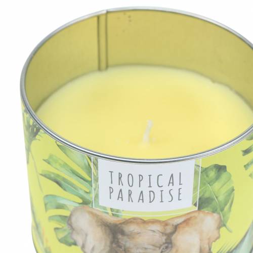Floristik24 Bougie parfumée dans la boite forêt tropicale jaune Ø9.5cm H8cm