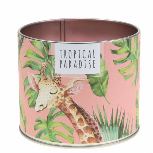 Floristik24 Bougie parfumée en canette forêt tropicale rose Ø9,5cm H8cm