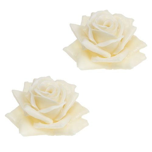 Floristik24 Cire rose Ø10cm crème 6pcs