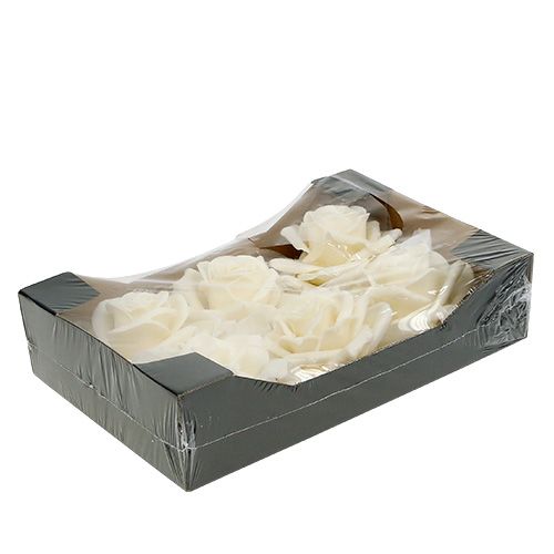 Floristik24 Cire rose Ø10cm crème 6pcs