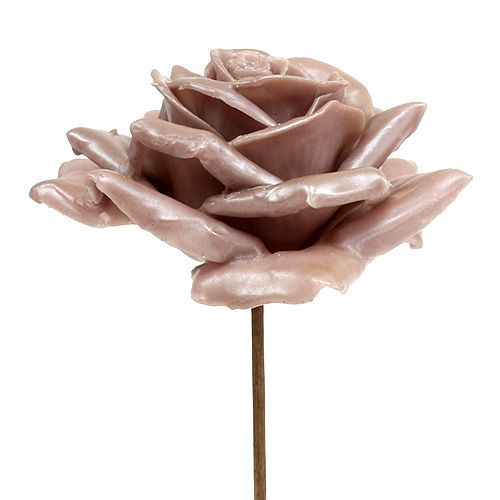 Article Cire rose champagne mix Ø10cm 6pcs