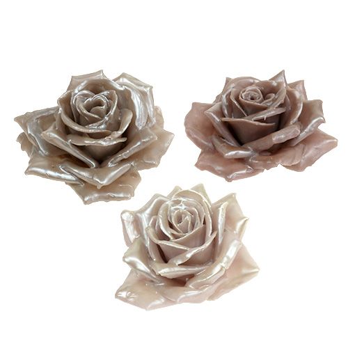 Cire rose champagne mix Ø10cm 6pcs