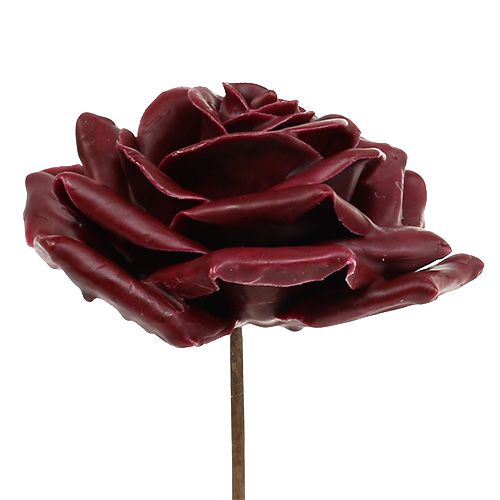 Floristik24 Cire rose rouge foncé Ø10cm 6pcs