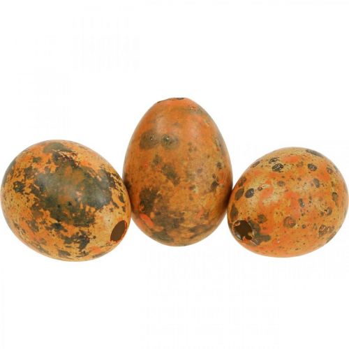 Oeufs de caille décoration oeufs soufflés orange abricot 3cm 50 pcs