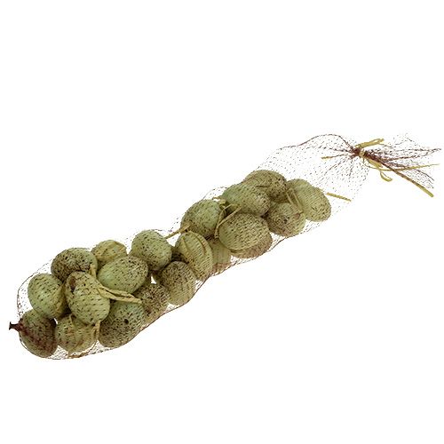 Floristik24 Oeuf de caille dans le filet décor 6cm 27st.