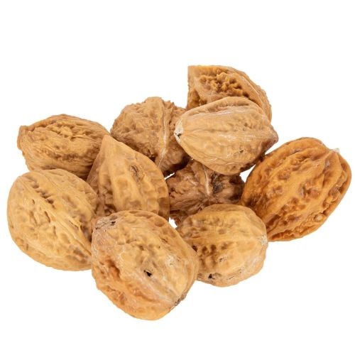 Noix, un produit naturel pour la décoration de table et les projets de bricolage. Noix naturelles, 4-5 cm, 300 g. acheter | Floristik24.be