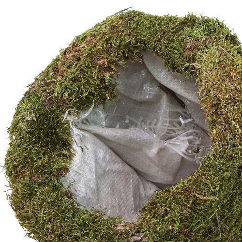 Article Décoration sapin de Noël en mousse vert naturel Ø25cm H70cm