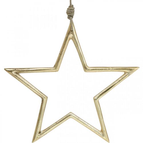 Floristik24 Décoration de Noël étoile, décoration de l&#39;Avent, pendentif étoile Doré B24.5cm