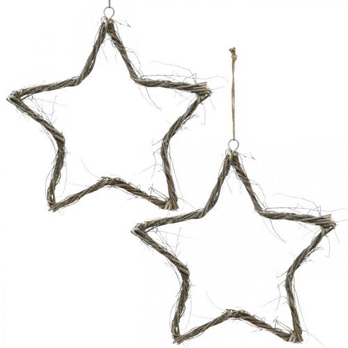 Floristik24 Décoration de Noël étoile décoration de fenêtre orme blanc lavé Ø40cm 2pcs