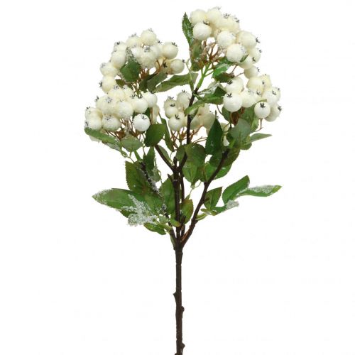 Floristik24 Branches de Noël, symphorine, plante artificielle neigée L58cm