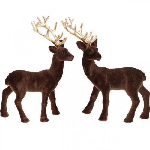 Floristik24 Décoration de Noël cerf à placer marron, or 20cm 2pcs