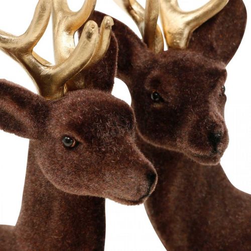 Floristik24 Décoration de Noël cerf décoratif à poser marron, doré 20cm 2 pcs