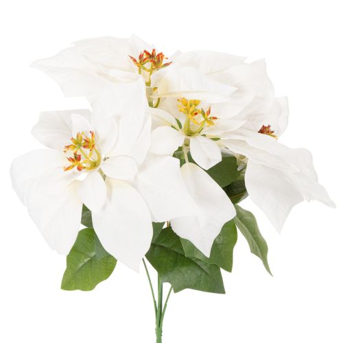 Poinsettia artificiel blanc à grande fleur, plante décorative, 40 cm acheter | Floristik24.be
