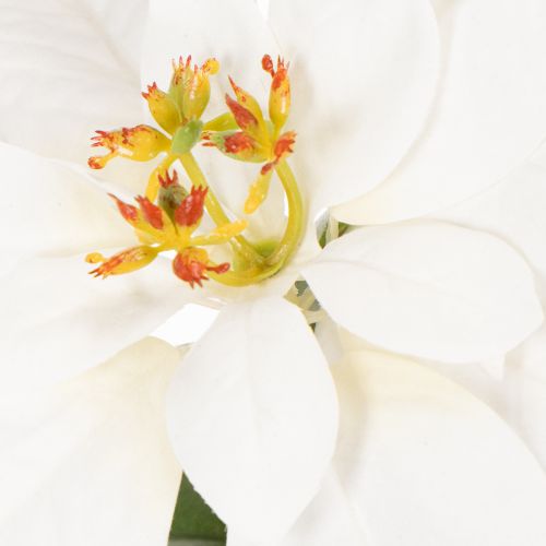 Poinsettia artificiel blanc à grande fleur, plante décorative, 40 cm | Floristik24.be