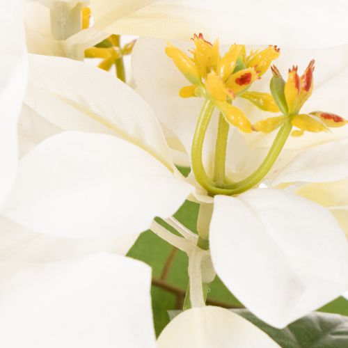Poinsettia artificiel blanc à grande fleur, plante décorative, 40 cm | Floristik24.be