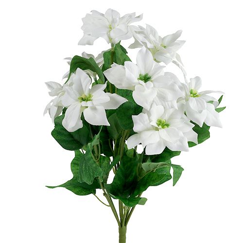 Floristik24 Bouquet de poinsettia blanc L45cm