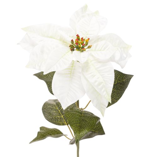 Poinsettia blanc artificiel, grande branche fleurie décorative, 65 cm, 2 pièces acheter | Floristik24.be