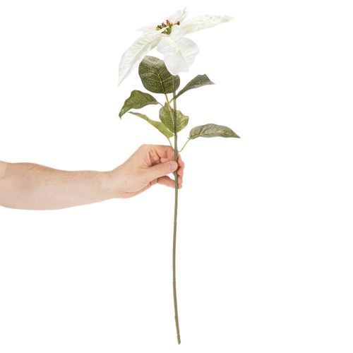 Poinsettia blanc artificiel, grande branche fleurie décorative, 65 cm, 2 pièces | Floristik24.be