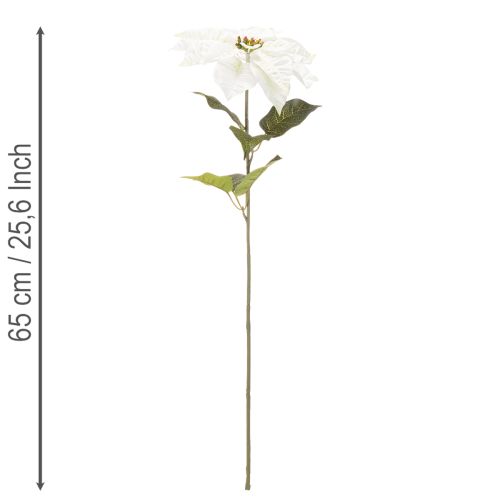 Poinsettia blanc artificiel, grande branche fleurie décorative, 65 cm, 2 pièces | Floristik24.be