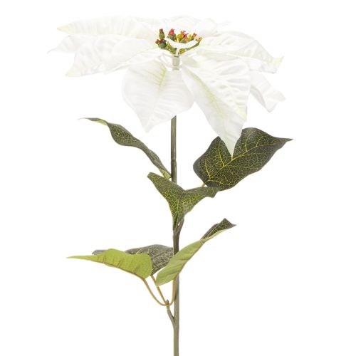 Poinsettia blanc artificiel, grande branche fleurie décorative, 65 cm, 2 pièces | Floristik24.be